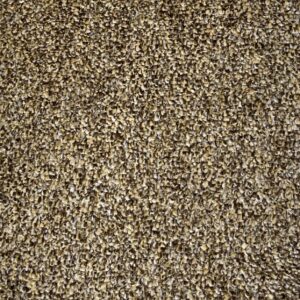 Everglade Carpet