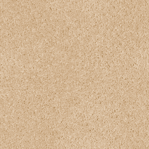 Carpets 21 Untitled design 54
