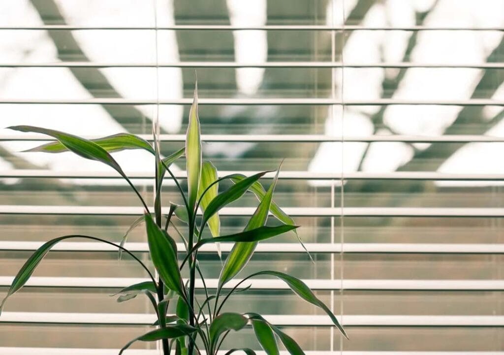 Aberdeen Blinds