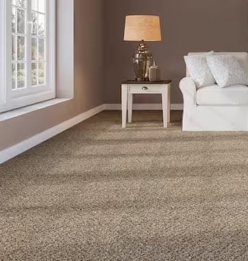 Livingroom Carpet