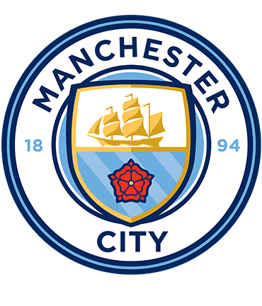 Football Carpets 9 manchester city