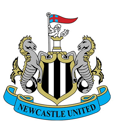 Football Carpets 6 newcastle united