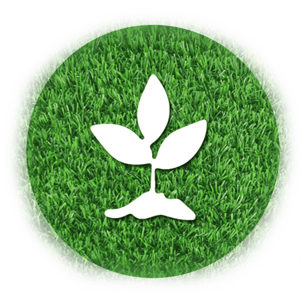 Artificial Grass 17 step 5 min