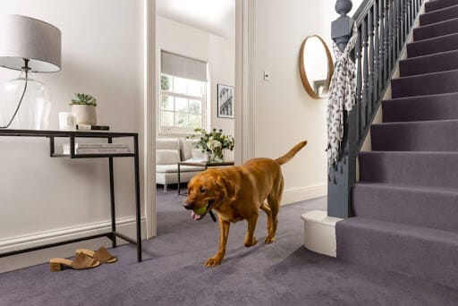grey stair carpet