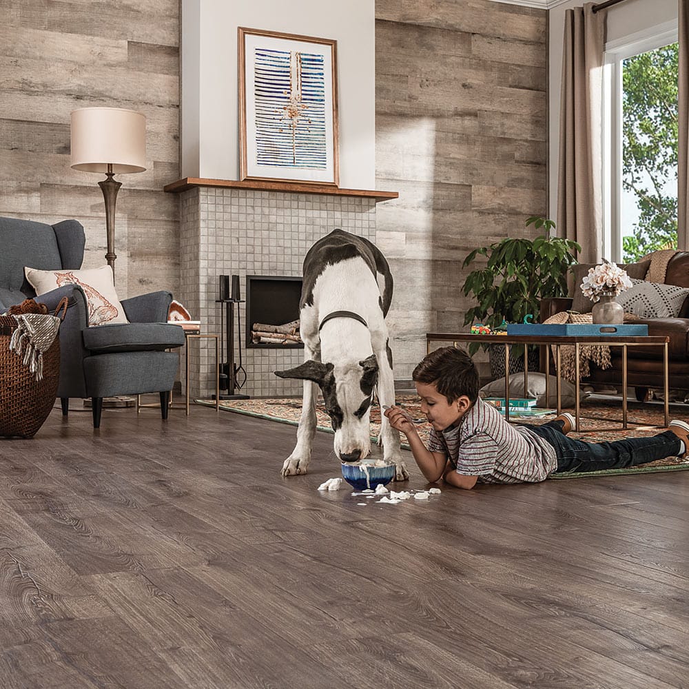 The Pay Weekly Model 1 how to choose the best flooring for dogs 2022 hero