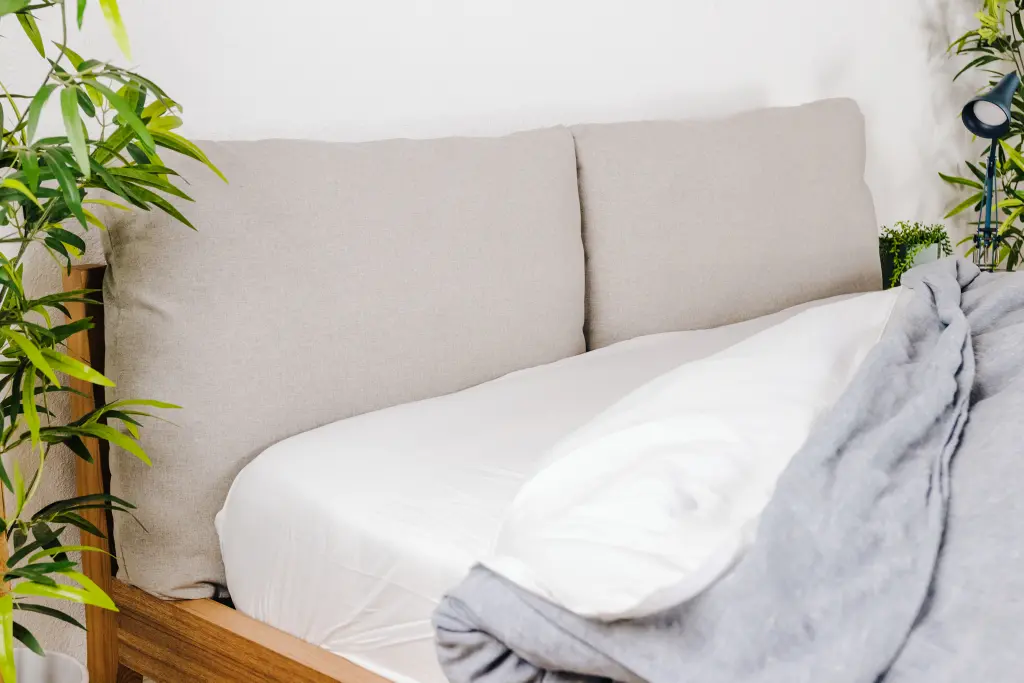 a bed with a plant in the corner