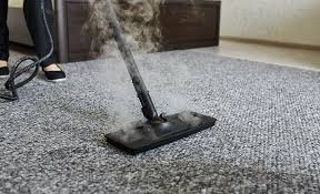 heat and steam carpet moths