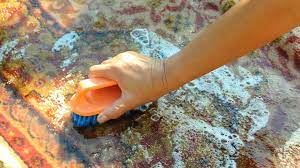 Scrub the rug