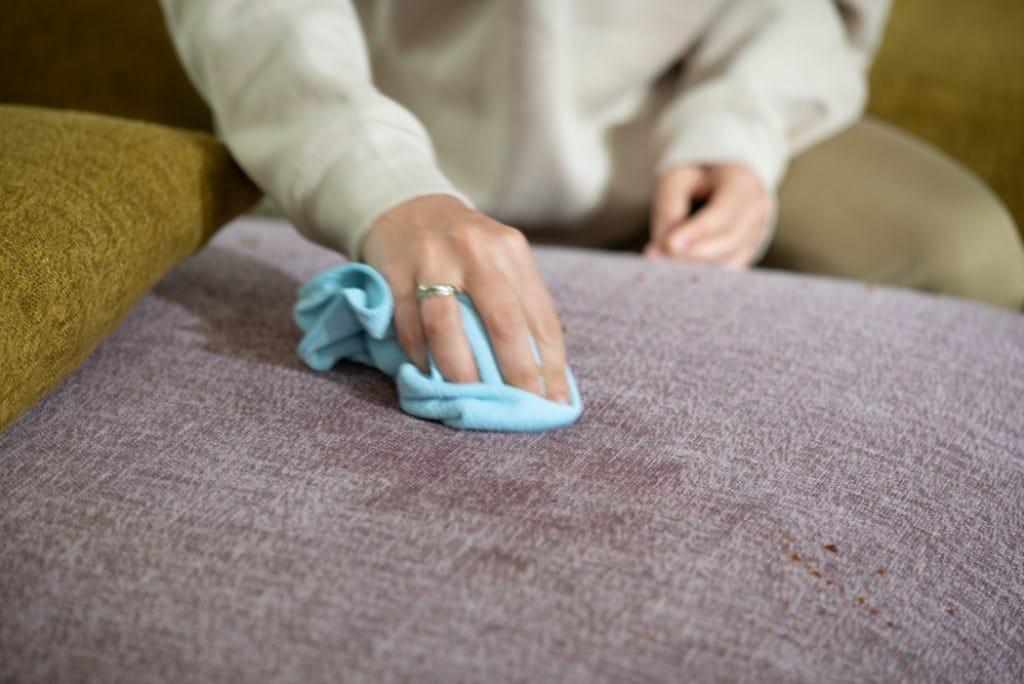 sofa cleaning