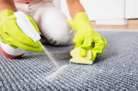 spraying on carpet moth