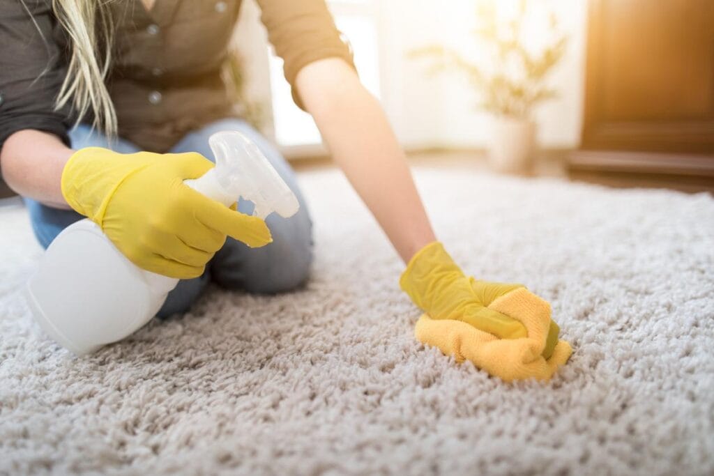 apply rug cleaner